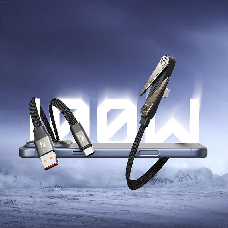 Lenyes Type-C to Type-C 100W Fast Charging LC553